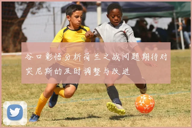 谷口彰悟分析荷兰之战问题期待对突尼斯的及时调整与改进