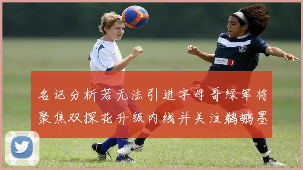 名记分析若无法引进字母哥绿军将聚焦双探花升级内线并关注鹈鹕墨菲